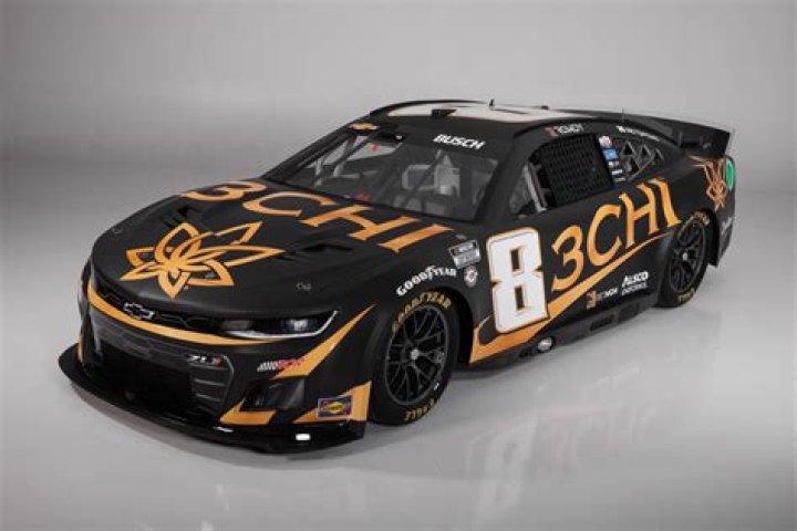 What Cars Does Richard Childress Own?